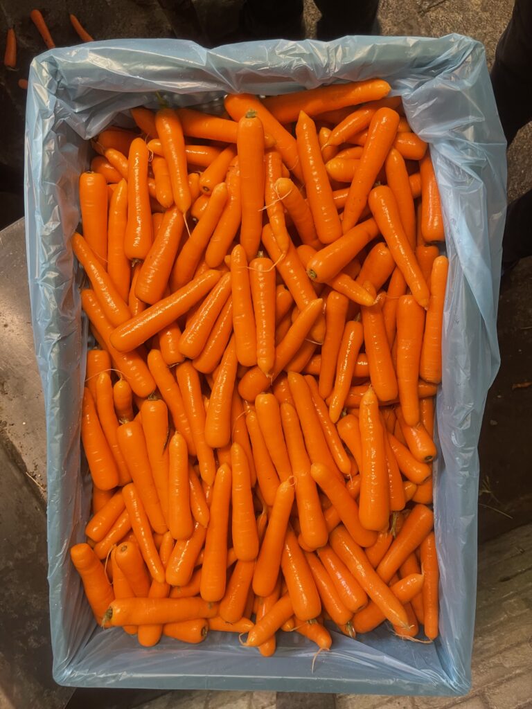 A peen in zak 10 12,5 kg