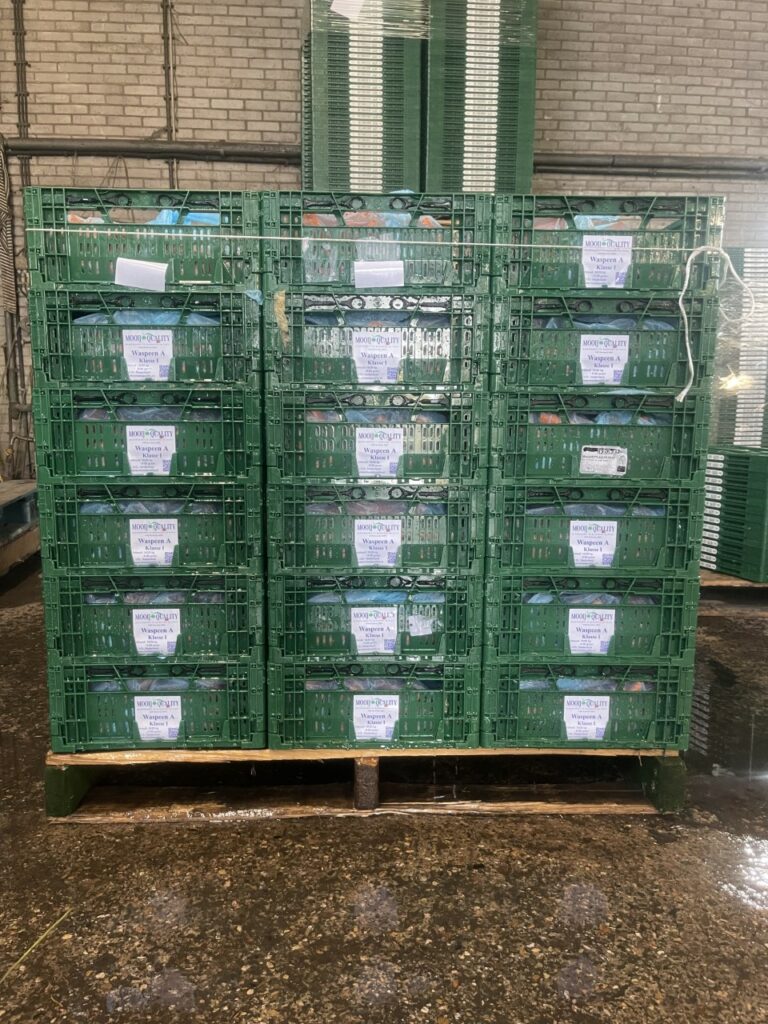 pallet waspeen
